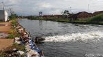 Foto: Kondisi Terkini Banjir di Pekalongan yang Mulai Surut
