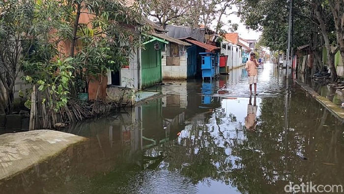 Begini Kondisi Terkini Banjir di Pekalongan yang Mulai Surut Banjir di Pekalongan mulai surut. Meski begitu, air tampak masih menggenang di sejumlah titik. Berikut penampakannya.