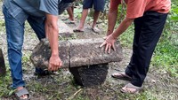 Sementara itu, Dukuh Pereng Agus Nugroho belum bisa memastikan batuan itu merupakan bagian dari candi atau bukan. Dia juga telah melaporkan temuan ini ke pihak Balai Pelestarian Cagar Budaya (BPCB). Selain itu, untuk saat ini warga sudah menghentikan proses penggalian bebatuan tersebut.