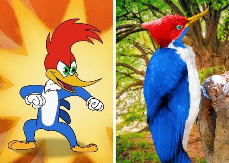 fotoinet gemasnya animasi hewan di dunia nyata