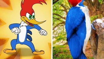Woody Woodpecker. Foto: Brightside