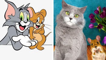 Persahabatan si kucing dan tikus Tom and Jerry. Foto: Brightside