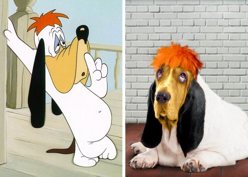 fotoinet gemasnya animasi hewan di dunia nyata