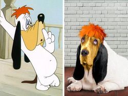 Gemasnya Animasi Garfield Hingga Squidward di Dunia Nyata