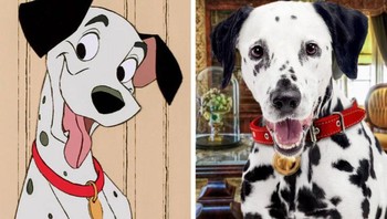 Pongo, film 101 Dalmantions. Foto: Brightside