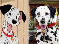 Gemasnya Animasi Garfield Hingga Squidward di Dunia Nyata