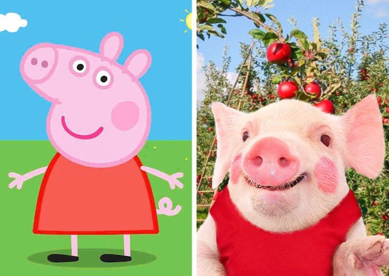 fotoinet gemasnya animasi hewan di dunia nyata