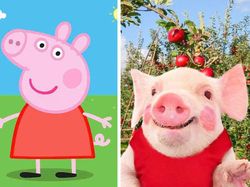 Gemasnya Animasi Garfield Hingga Squidward di Dunia Nyata