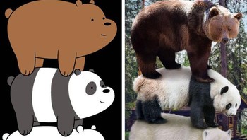 Tiga serangkai beruang We Bare Bears Foto: Brightside