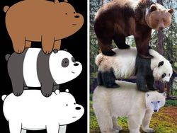 Gemasnya Animasi Garfield Hingga Squidward di Dunia Nyata