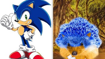 Sonic si landak biru. Foto: Brightside