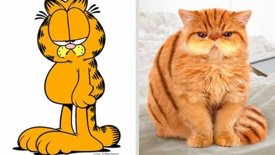 Gemasnya Animasi Garfield Hingga Squidward di Dunia Nyata