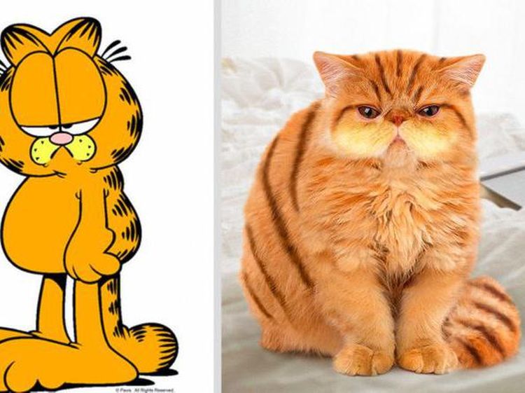 Gemasnya Animasi Garfield Hingga Squidward di Dunia Nyata