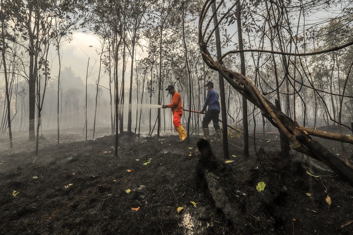 Petugas Penanggulangan Bahaya Kebakaran (PBK) Badan Pengusahaan (BP) Batam berusaha memadamkan areal hutan terbakar di wilayah Keselamatan Operasi Penerbangan (KKOP) Bandara Hang Nadim, Batam, Kepulauan Riau (Kepri), Senin (22/2/2021). Kebakaran hutan dan semak belukar di area Line Side (Sisi Darat) bandara diduga disebabkan oleh cuaca panas dan angin kencang. ANTARAFOTO/Teguh Prihatna/rwa.