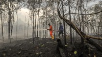Petugas Penanggulangan Bahaya Kebakaran (PBK) Badan Pengusahaan (BP) Batam berusaha memadamkan areal hutan terbakar di wilayah Keselamatan Operasi Penerbangan (KKOP) Bandara Hang Nadim, Batam, Kepulauan Riau (Kepri), Senin (22/2/2021). Kebakaran hutan dan semak belukar di area Line Side (Sisi Darat) bandara diduga disebabkan oleh cuaca panas dan angin kencang. ANTARAFOTO/Teguh Prihatna