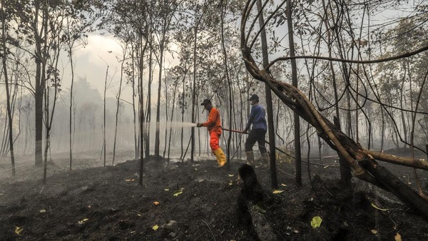 Karhutla di Riau Makin Meluas