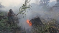 Terkait kebakaran lahan, pihaknya sudah menurunkan tim gabungan dari TNI, Polri, BPBD, dan Manggala Agni. Termasuk bantuan pemadaman dari perusahaan di sekitar lokasi kebakaran. ANTARA FOTO/Aswaddy Hamid