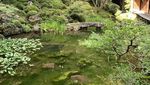 Kuil Hoshakuzan Kozen-ji Jepang yang Terkenal akan Keteduhannya