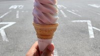 Sebelum berangkat ke destinasi selanjutnya, cicipilah es krim vanila taro di tempat oleh-oleh sekitar Kuil Hoshakuzan Kozen-ji seharga 310 yen.