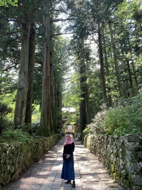 Jalan setapak di bawah ini yang jadi spot foto para wisatawan. Hijau asri teduh saat di sana dan pepohonan itu bak pagar-pagar halaman. Jalan setapak di bawah ini yang jadi spot foto para wisatawan. Hijau asri teduh saat di sana dan pepohonan itu bak pagar-pagar halaman.