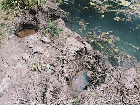 Lahan perkebunan dan sawah warga di Musi Banyuasin rusak setelah masuknya kawanan gajah liar (dok Polres Musi Banyuasin)