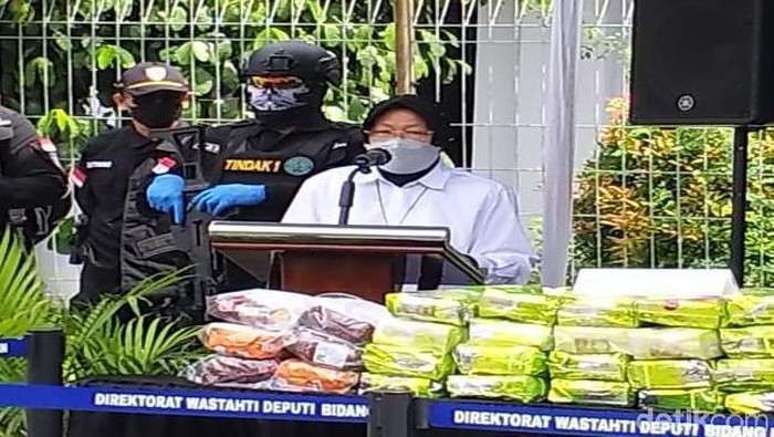 Mensos Tri Rismaharini di Kantor BNN Jalan MT Haryono, Jakarta Timur, Rabu (24/2/2021) / Kadek Melda-detikcom
