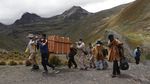 Nyaris Punah, Burung Kondor Andes Dilepasliarkan di Bolivia
