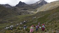 Diketahui ada dua Kondor Andes yang dilepaskan ke alam liar di Paca, tenggara ibu kota Bolivia.