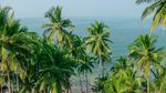 Foto: Pantai Terbaik di Asia 2021 Pilihan Tripadvisor