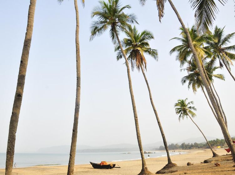 Foto: Pantai Terbaik di Asia 2021 Pilihan Tripadvisor