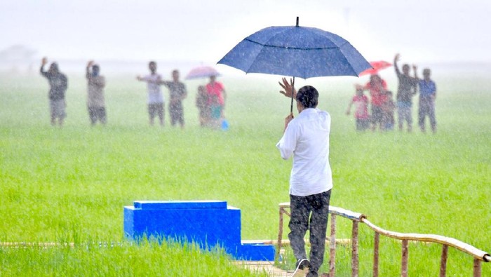 Presiden Jokowi, Selasa (23/2/2021) meninjau lokasi food estate yang terletak di Bukit Ngora Lenang, Lai Patedang, Desa Makata Keri, Kec Katiku Tana, Kab Sumba Tengah Prov NTT.