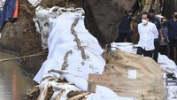 Presiden Joko Widodo (Jokowi) menargetkan jebolnya tanggul Sungai Citarum dapat diselesaikan maksimal dalam 2 hari ke depan. 