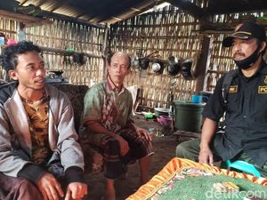 Pengakuan Pencari Porang yang Hilang di Hutan: Dijaga 4 Harimau Saat Tidur