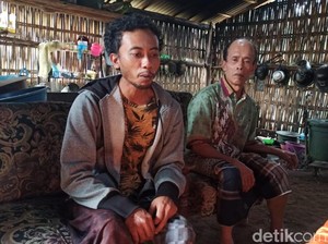Jejak Mistis Pencari Porang Banyuwangi yang Hilang di Hutan