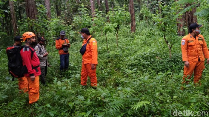 Seorang pria hilang di hutan petak 67 A RPH Gombeng, KPH Banyuwangi Utara saat mencari bibit porang. Kini ia ditemukan selamat.