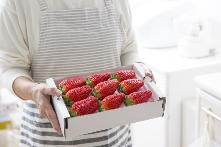 Ternyata Ini Alasan Kenapa Harga Buah di Jepang Lebih Mahal