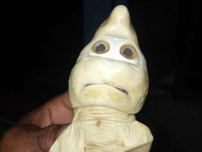 Viral ikan berwajah mirip manusia ditemukan di Rote Ndao, NTT (dok Pribadi) Viral ikan berwajah mirip manusia ditemukan di Rote Ndao, NTT (dok Pribadi)