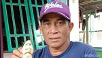 Potret Hiu Berwajah Mirip Manusia Bikin Heboh Warga NTT