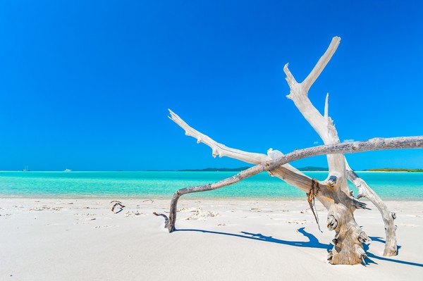 Berdasarkan lokasinya saja kita sudah bisa membayangkan hamparan pasir putih dengan laut yang jernih kan? Adapun jenis pasir di pantai ini adalah Silica, yang berarti pasir tak hanya berwarna cerah namun juga lembut. Berdasarkan lokasinya saja kita sudah bisa membayangkan hamparan pasir putih dengan laut yang jernih kan? Adapun jenis pasir di pantai ini adalah Silica, yang berarti pasir tak hanya berwarna cerah namun juga lembut.