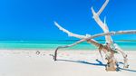 Foto: Pantai Australia yang Menjadi Terbaik versi Tripadvisor