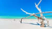 Berdasarkan lokasinya saja kita sudah bisa membayangkan hamparan pasir putih dengan laut yang jernih kan? Adapun jenis pasir di pantai ini adalah Silica, yang berarti pasir tak hanya berwarna cerah namun juga lembut.