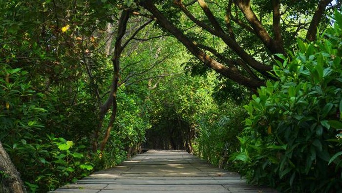 7 Hidden Gem Pulau Jawa, Cocok Dikunjungi Staycation