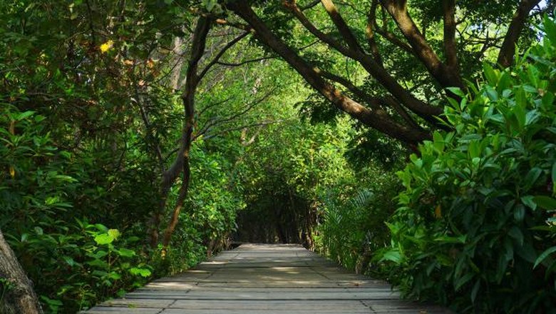7 Hidden Gem Pulau Jawa, Cocok Dikunjungi Staycation 7 Hidden Gem Pulau Jawa, Cocok Dikunjungi Staycation