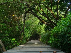 7 Hidden Gems Pulau Jawa, Cocok Dikunjungi Saat Staycation atau Virtual