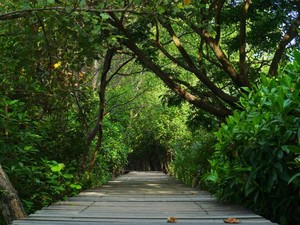 7 Hidden Gems Pulau Jawa, Cocok Dikunjungi Saat Staycation atau Virtual