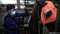 Bagaimana menurut Anda?