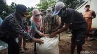 PLT Kadis KPKP Suharini bersama Kasudin KPKP Jakbar Iwan Indriyanto memberikan bantuan berupa makanan kuda sebanyak 2 karung. Bantuan tersebut diharapkan dapat membantu para pemilik kuda.