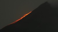 Kepala Balai Penyelidikan dan Pengembangan Teknologi Kebencanaan Geologi (BPPTKG) Hanik Humaida menjelaskan total ada 46 kali guguran lava pijar pada periode pengamatan selama 12 jam.