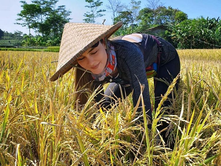 Keseruan Luna Maya Saat Panen Padi hingga Ngopi di Bali