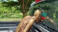 Patung yang nyungsep hingga kaca belakang mobil pecah. Mau marah, tapi ke siapa?